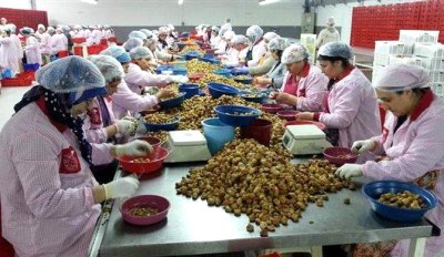 Aydın da Organik Tarım Denetimleri Devam Ediyor