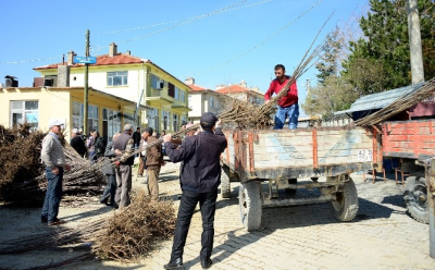 Büyükşehir Belediyesi nden Tüm İlçelere Tarımsal Destek