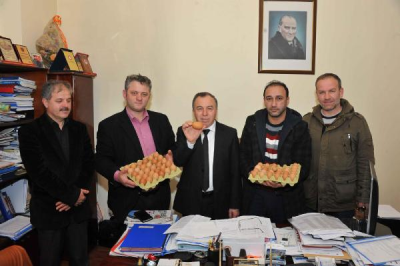 Samsun da Belediye Destekli Doğal Yumurtacılıkta Başarılı Sonuç