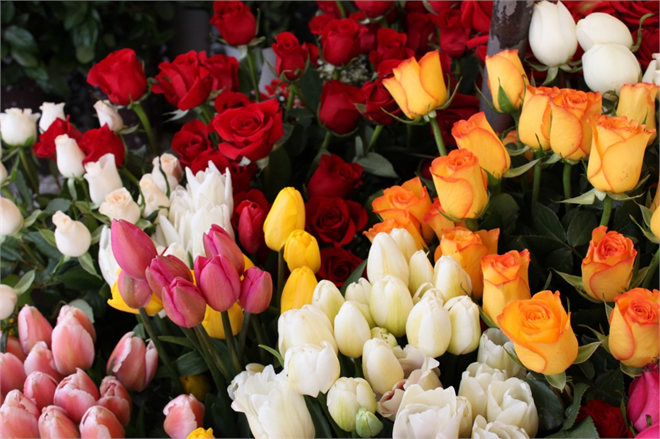 Çiçek Üretimine Destek İçin Protokol İmzaladı