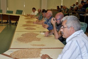 Edirne de Buğday Hastalık ve Zararlarıyla Mücadele Yöntemleri Paneli