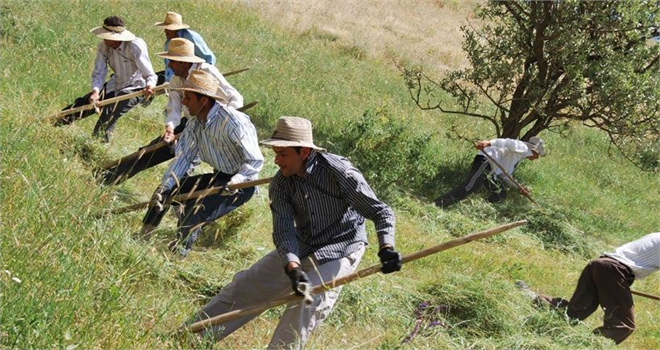 Tarım istihdamı için önlem alınmalı