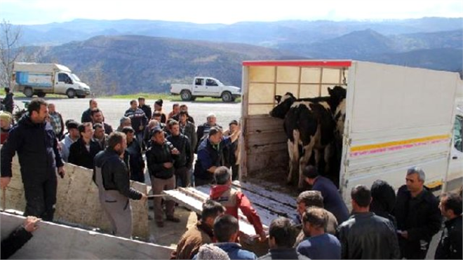 Ermenekli Madencilere Tarım ve Hayvancılık Alanında Yardım