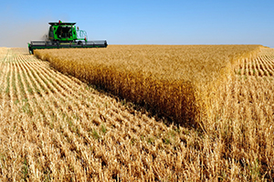 Uzakdoğu dan İthal Edilen İplik ve Çapa Makinalarına Ek Vergi