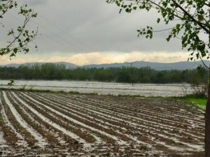 Sumbas ta Dolu Çiftçiyi Vurdu
