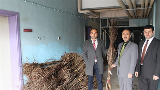 Gıda Tarım ve Hayvancılık Müdürlüğü Fidan Dağıttı