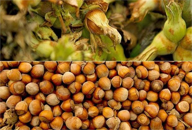 Ödeyen var alacaklı yok