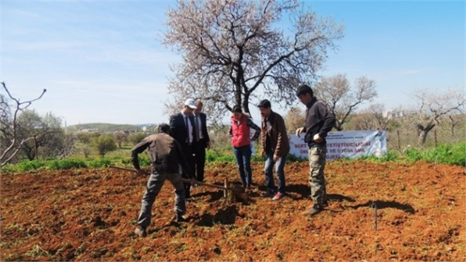 Gap tan Siirtli Çiftçilere Destek
