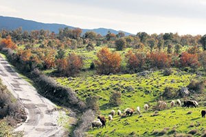 Kullanılan ilaçlar herkesi etkiliyor