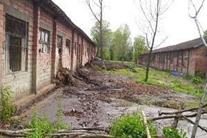 Mahalle Sakinlerinden Manda Pisliği Tepkisi