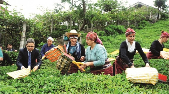 Tarım arazileri için 8 il daha ÇATAK a girdi