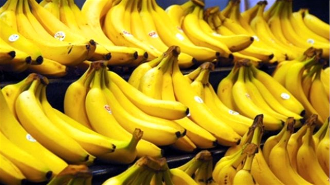 Anamurlu Muzculardan İhracat İçin Faizsiz Kredi Talebi