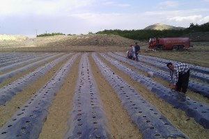 Daredende Tarıma Değer Katanlar Ödülleri nde Türkiye 3 sü Oldu