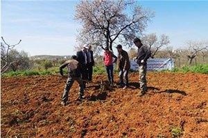 Gap tan Siirtli Çiftçilere Destek