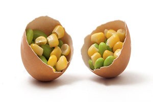 Türkiye de gıdada GDO ya izin yok