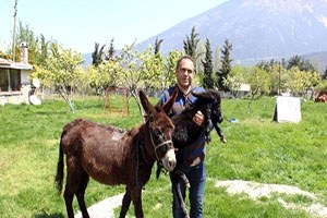 Hasta Annesi İçin Eşek Çiftliği Kurdu