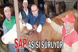 Hayvanlar sağlıklı çıkıyor