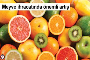 Yunanistan ın meyve ihracatında önemli artış