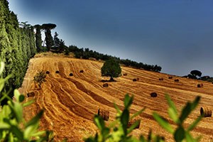 Afyonkarahisar da 39 Kkydp Projesine 24 Milyon TL Hibe Desteği Verilecek