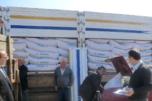 Düzce deki Çeltik Üreticilerine Tohum Desteği Yapıldı