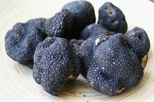 Gizemli Mantar In İlk Hasadı 2018 de