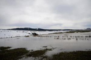 Yağışlar Ekimi Geciktiriyor