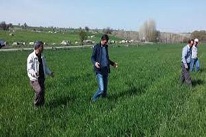 Beyşehir de Çiftçilere Kımıl Uyarısı