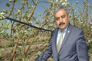 Elmayı Nisan Ayında Don Vurdu