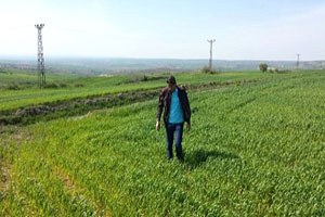 Malkara da Süne Mücadelesi Başladı