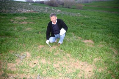 Çiftçilere Tarla Faresi Uyarısı