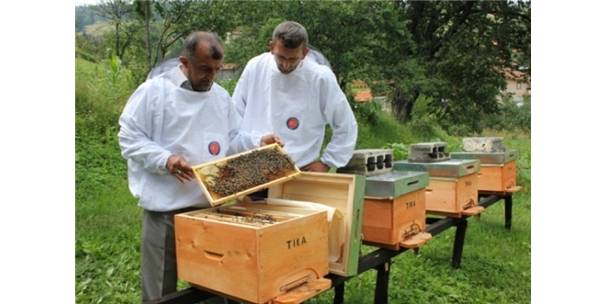 Tika nın Bosna Hersek teki Tarım Projeleri Meyvelerini Vermeye Başladı