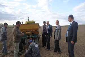 Çiftçiler Patates ve Soğan Üretimine Yöneldi