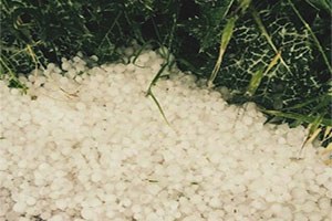 Dolu Yağışı Araban Ovası ndaki Hububat Ekili Alanlara Zarar Verdi