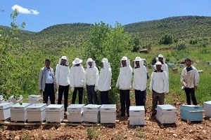 Savur da Arıcılık Projesi Hayata Geçirildi