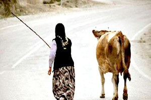 Kente Göç Kadının İşgücüne Katılımını Düşürdü