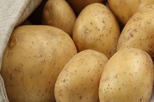 Patatesteki yüksek fiyat üretime yansıyacak