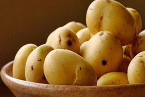 Patateste hasat başladı fiyatlar düşüyor