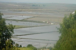 Hamzadere Barajı Trakya nın tarımsal umudu oldu