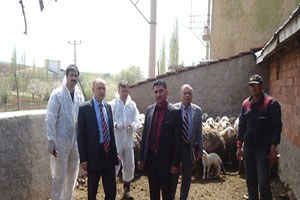 Koyun Keçide Veba Aşılama Kampanyası Başladı