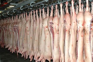 İngiltere de Süpermarket Helal Damgalı Domuz Ürünü Sattı