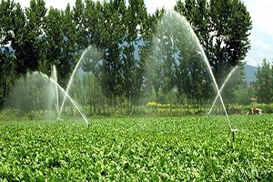 Elektrik borcu olan çiftçiye kötü haber