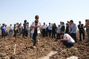 Diyarbakır Büyükşehir den topraksızlara toprak