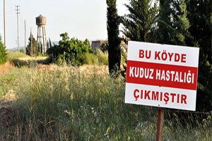 Adıyaman da kuduz hastalığı karantinası