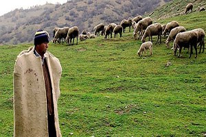 5 bin lira maaş var işçi yok