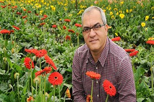 Çiçek ten cari açık 100 milyon a gidiyor