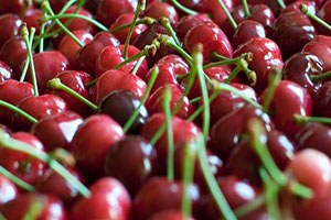 Kiraz Üretiminde Döllenme Sorunu Yaşanıyor