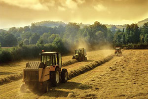 Tarımsal danışmanlığa 600 lira destek