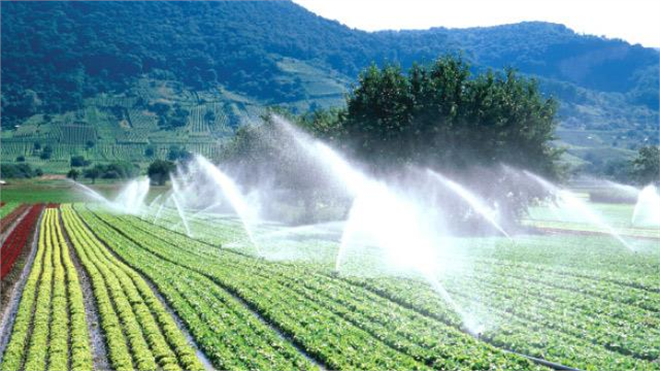 Tarım Bakanlığı ndan çiftçilere dev hibe