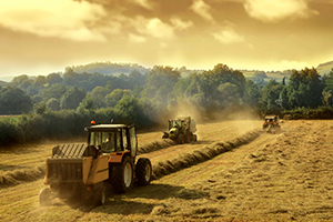 Gıda Tarım ve Hayvancılık Bakanlığı Açıklaması