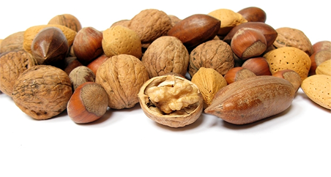 Sert kabuğun içindeki mucize